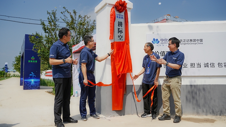 OEŷ��|�ٷ���վ